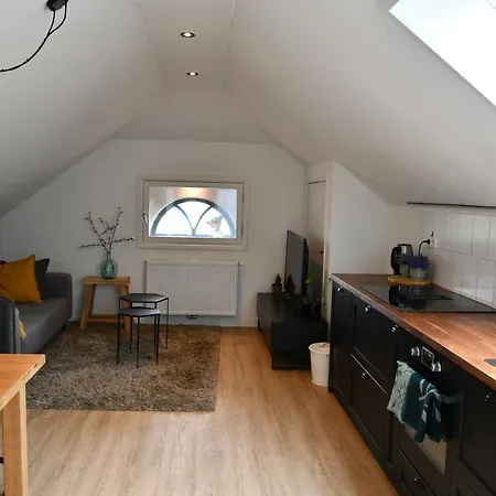 Chaamse Bossen Met Tuin Apartman Chaam