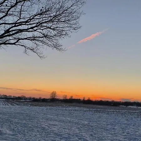 Chaamse Bossen Met Tuin Апартаменты Chaam