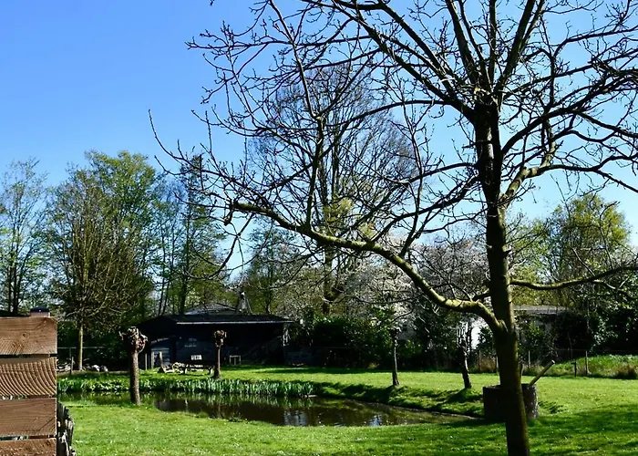 Chaamse Bossen Met Tuin * Chaam