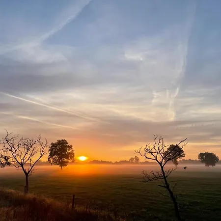 Chaamse Bossen Met Tuin דירה Chaam
