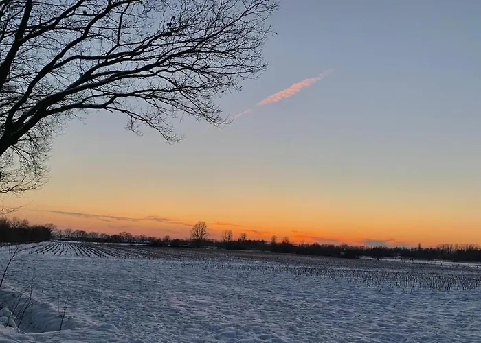 Chaamse Bossen Met Tuin Apartamento Chaam