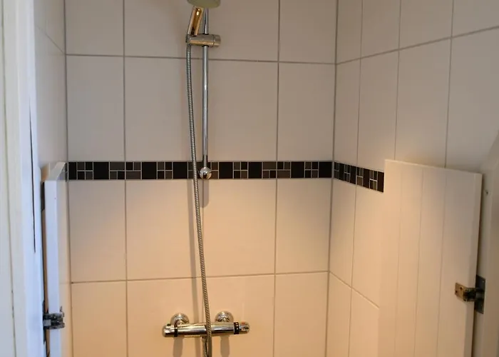 Chaamse Bossen Met Tuin Chaam